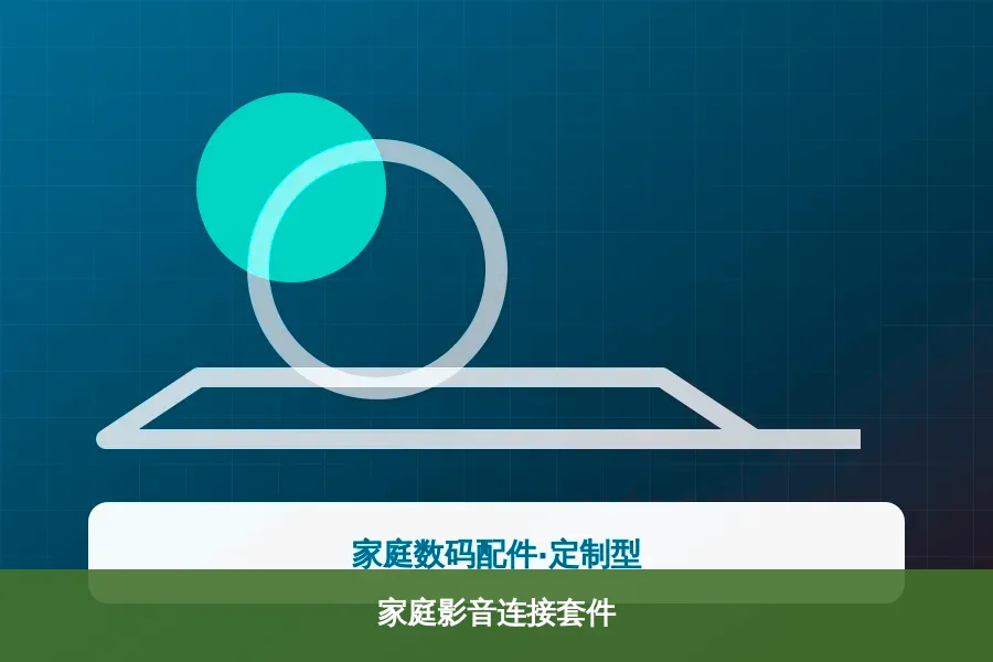 家庭影音连接套件